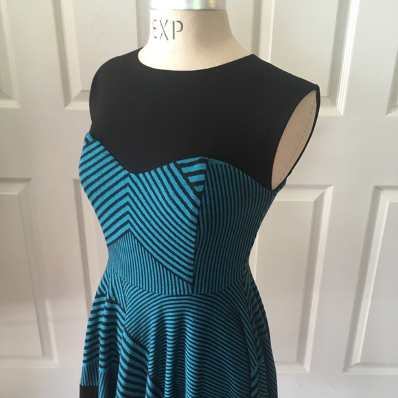 Eva Franco Anthropology skater dress 6 petite - Picture 5 of 8